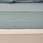 公寓 Casa Sofia 2 Min Duomo - Piazza Del Campo 锡耶纳